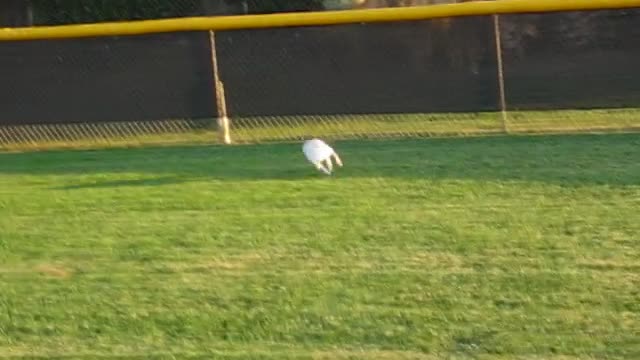 Prancer age 2