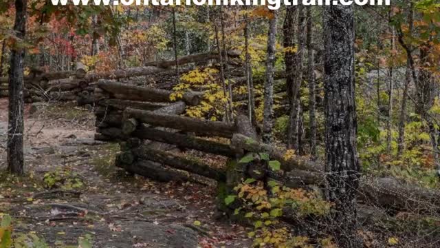 Ontario Hiking Trails #shortvideo