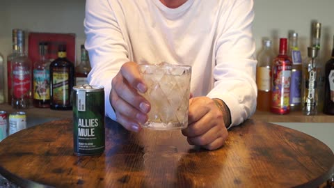 Beagans 1806 Allies Mule Review