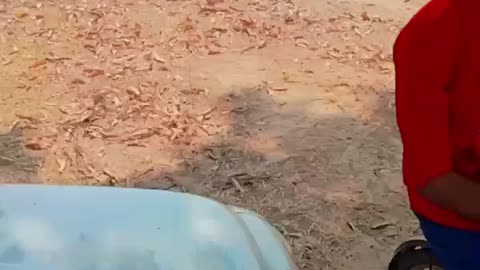 Cricket is love || #trending