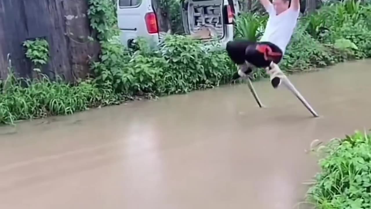 Acrobatics