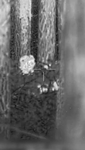 The work of a sniper of the Russian Airborne Forces