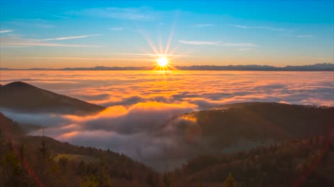 Beautiful nature/HD video