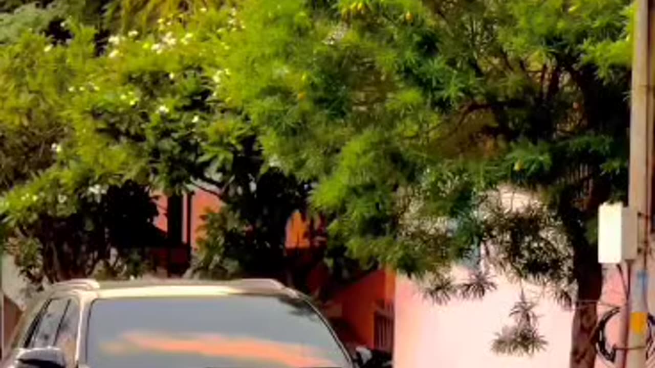 Fortuner video India