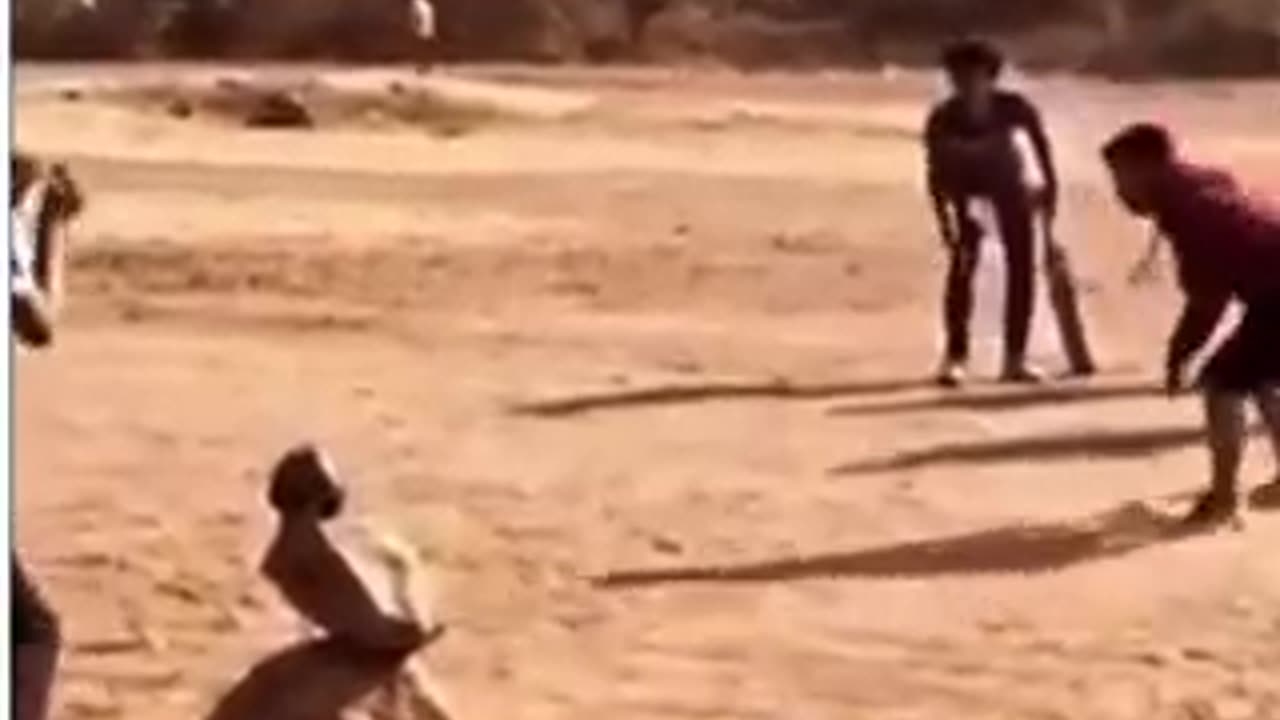 Funny cricket 🤣