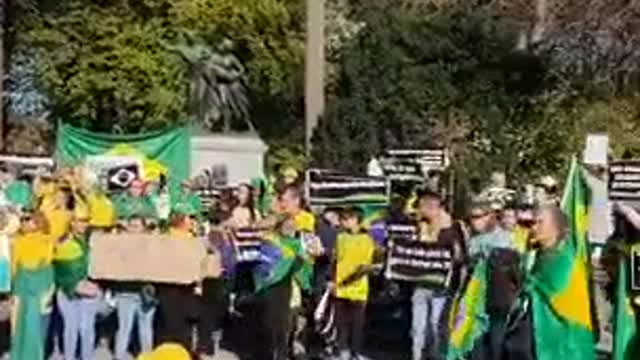 BRAZILIANS PROTESTS IN BELGIUM. 15/11/22 🇧🇷🇧🇷🇧🇷 #VemPraRua #BrazilWasStolen