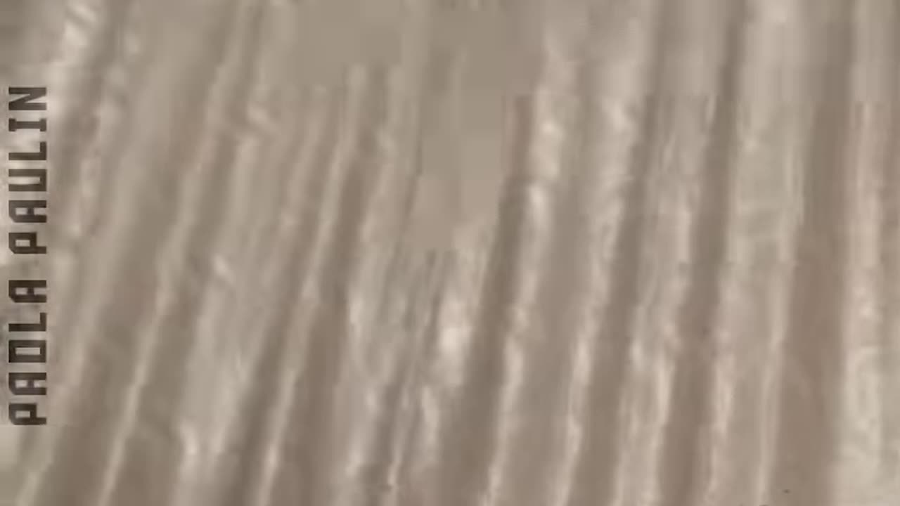 Funniest Animal Clips..