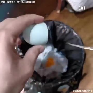 Clone a chicken at home