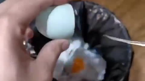 Clone a chicken at home