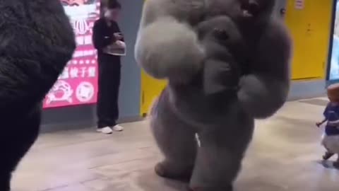 Imagine seeing this....