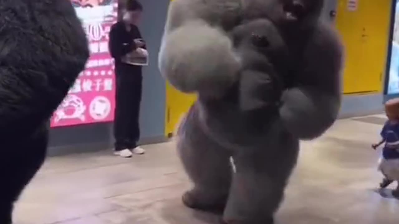 Imagine seeing this....