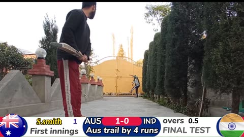 Final test match ind vs aus backyard cricket