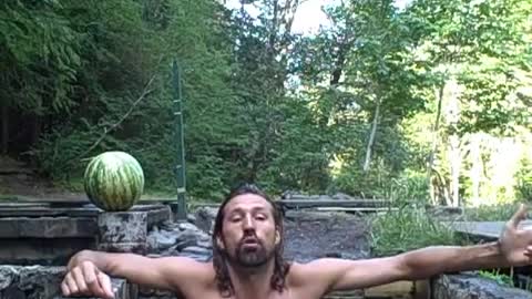 HOT SPRINGS! + liferegenerator update - Aug 13th 2010