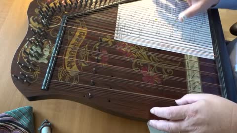 Schwarzbraun ist die Haselnuss auf Piano Harp Akkordzither