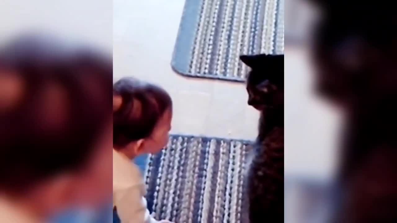 Oh, you dragged me with you?