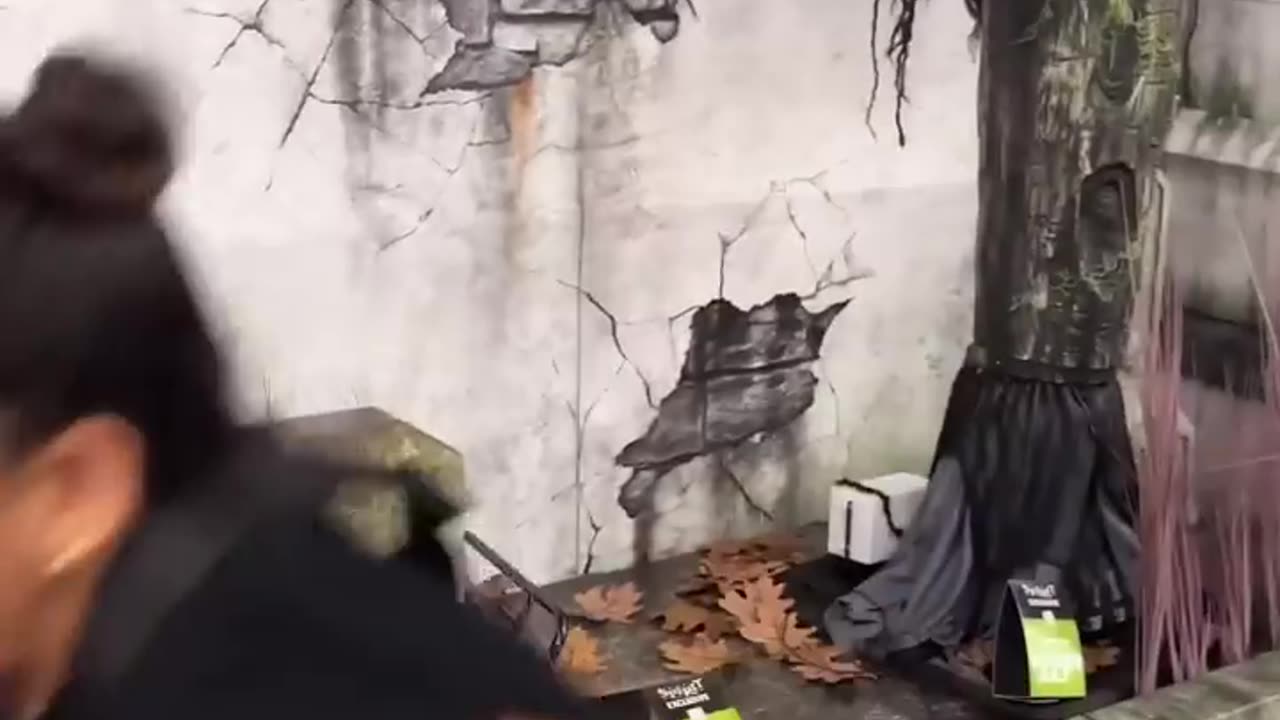 Most Viral funny video