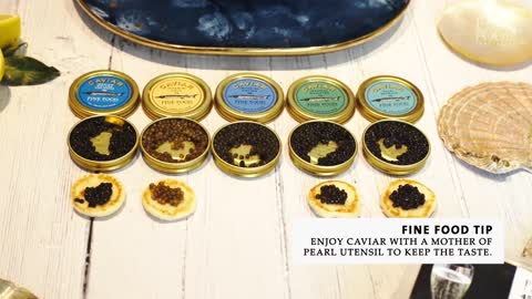 A Guide to Different Types of Premium Caviars _ Drogo's Kitchen _ Fine Food Specialist