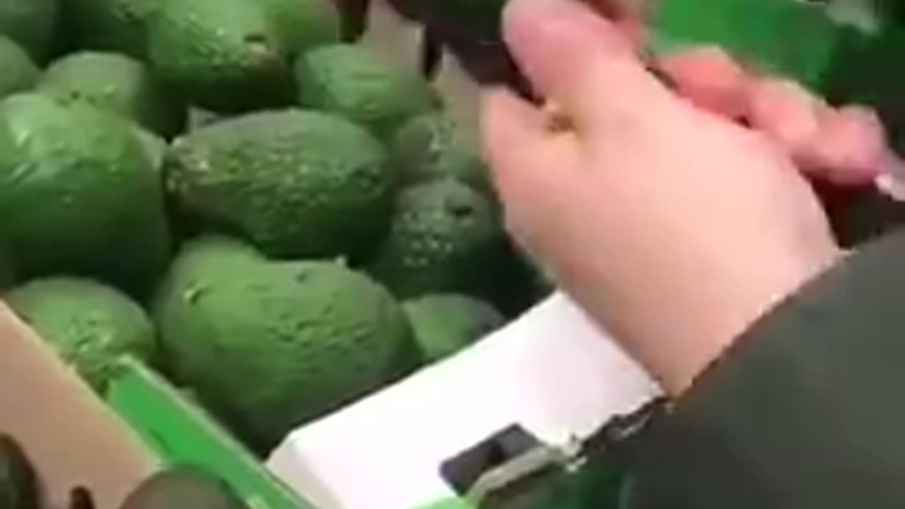 Narcotic avocado: Colombian cartels have learned a new way to smuggle cocaine