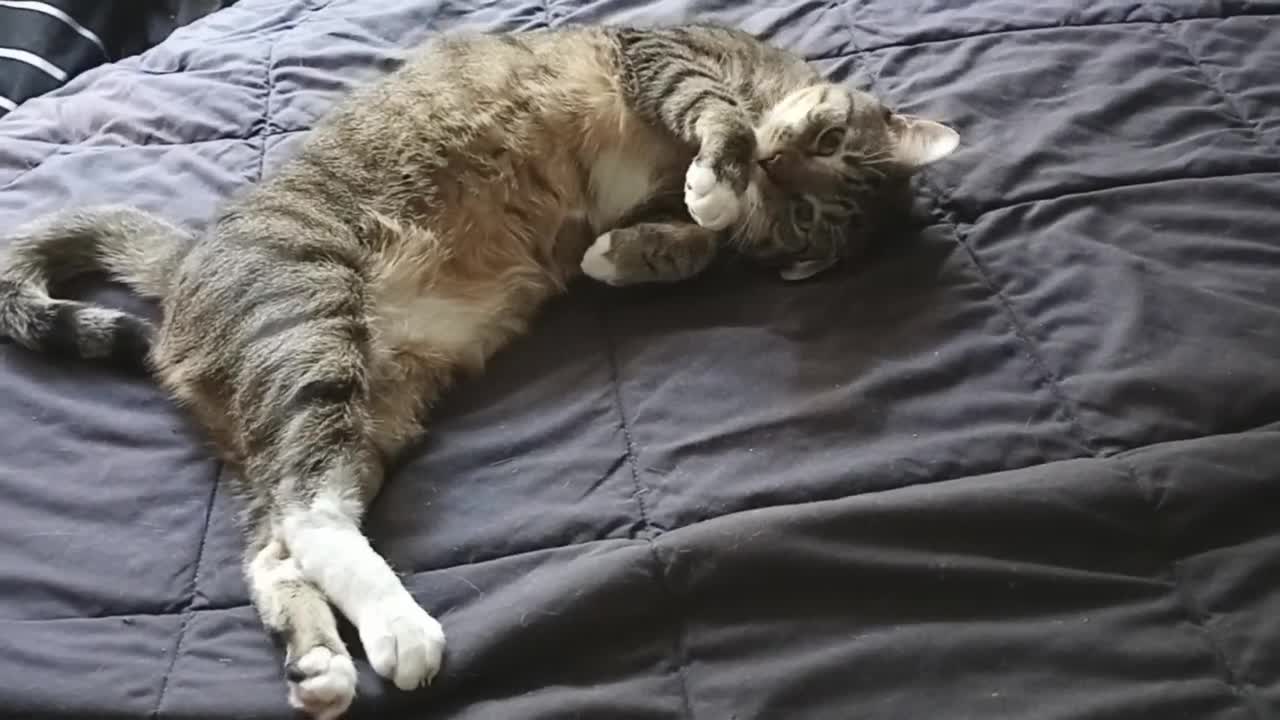 They don't even know it's Friday