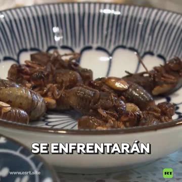 Se podrán degustar cigarras en un insectario estadounidense en 2024.
