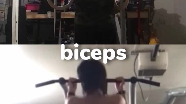 Pull Ups vs Chin Ups