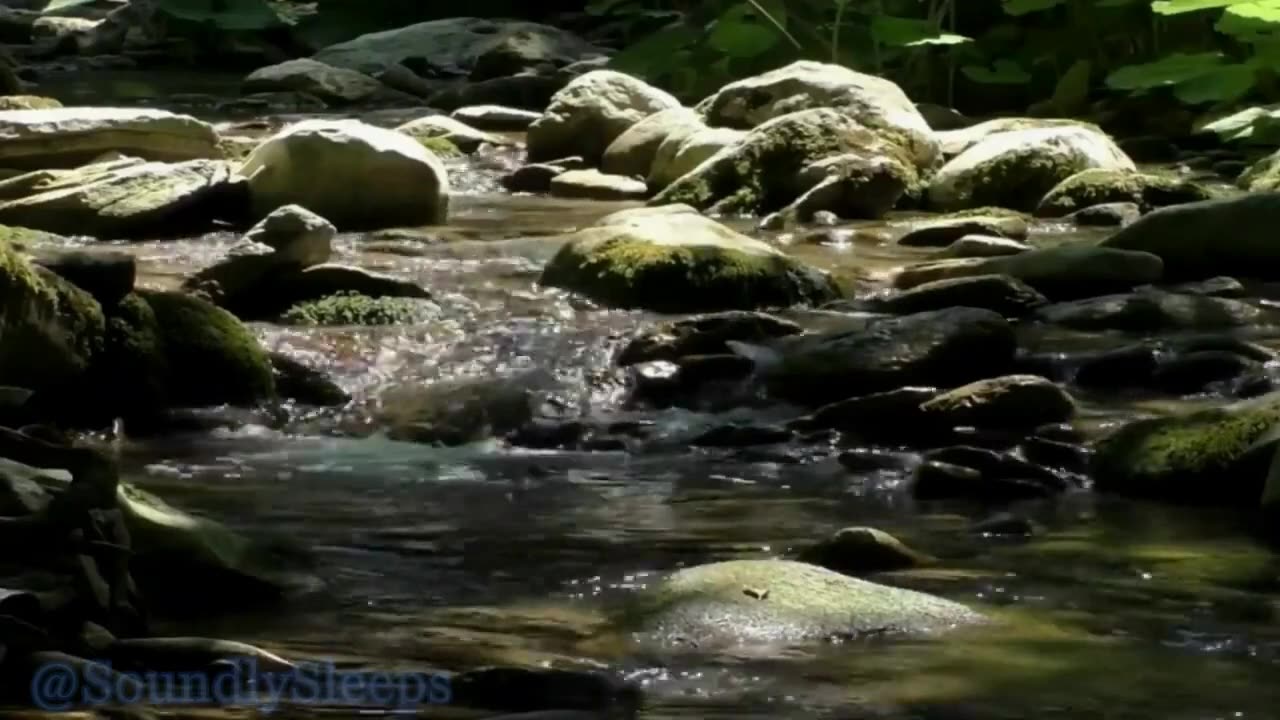 5 Hours of a flowing creek / river WITHOUT BIRDS