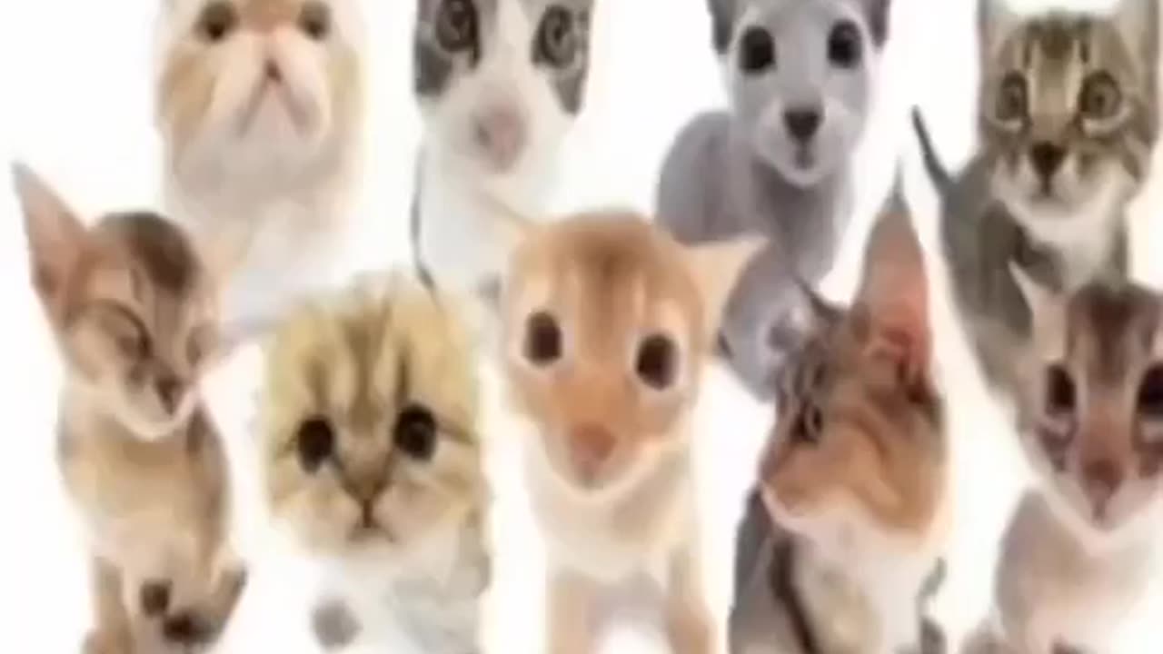 News Break