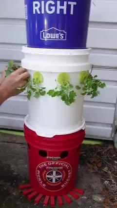 Grow the food to save humanity