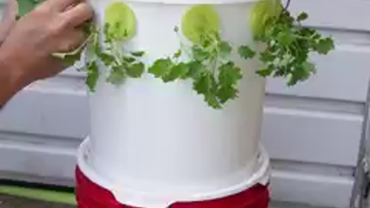 Grow the food to save humanity