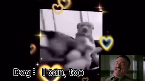 Dog:i can, too