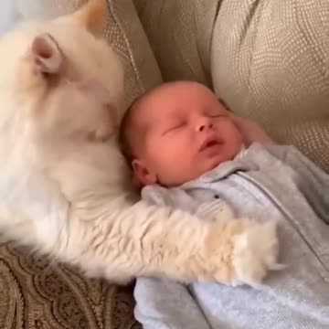 Funny Baby and Cats 🥰 Funny Cat Videos(Hilarious) #shorts #cutebaby