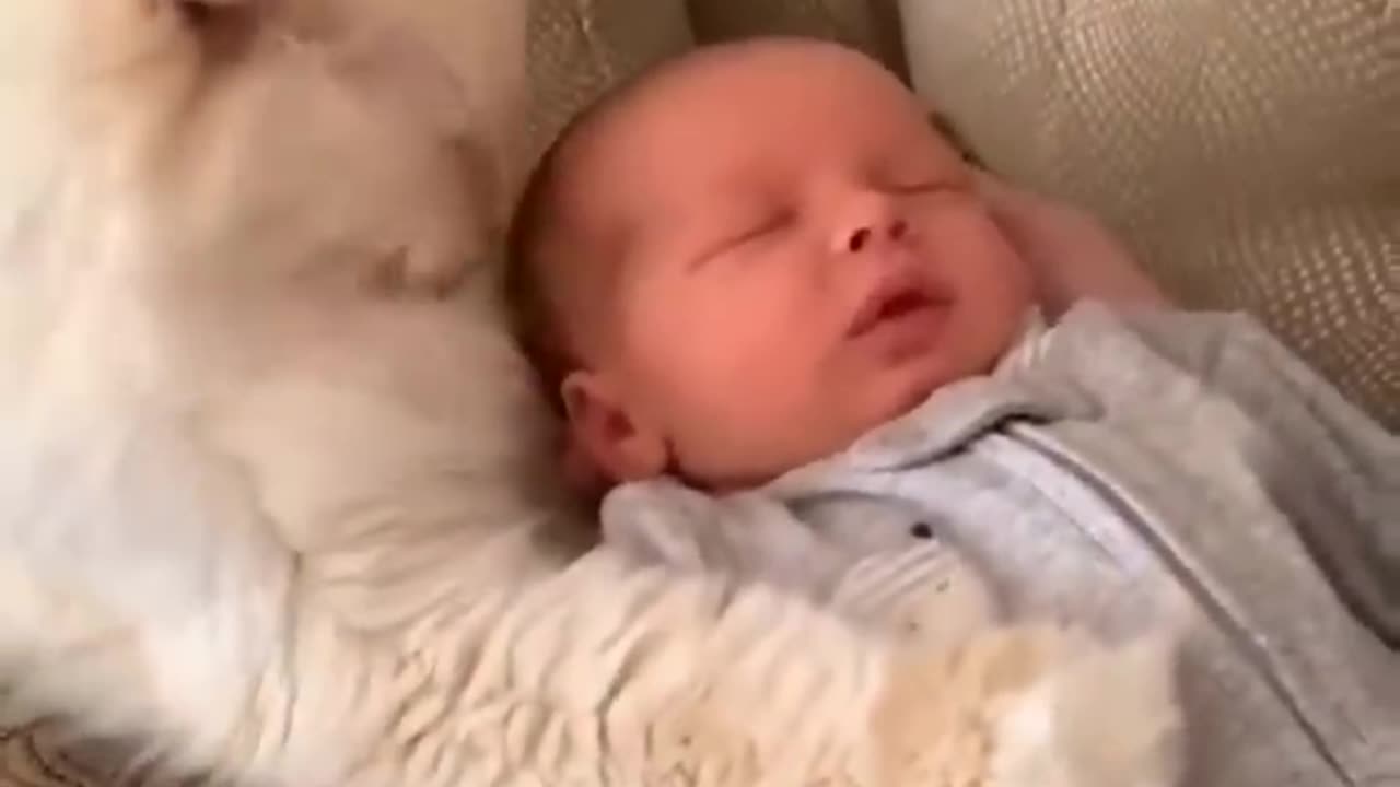 Funny Baby and Cats 🥰 Funny Cat Videos(Hilarious) #shorts #cutebaby