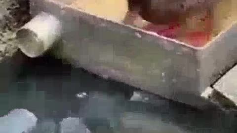 سبحان الله