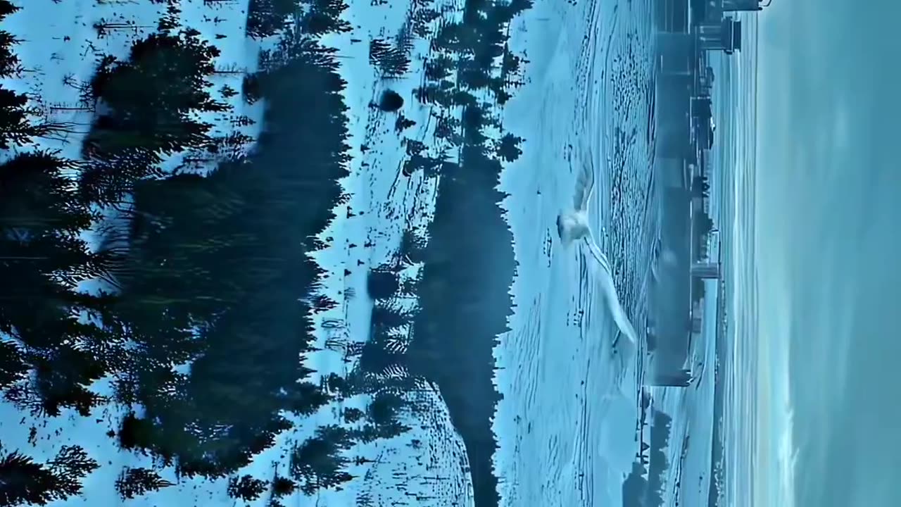 House of the dragon 😍😍😍