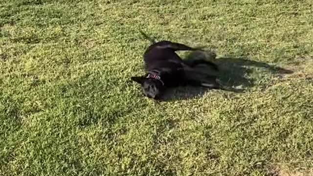 It’s the best day of the month.