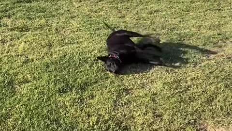 It’s the best day of the month.