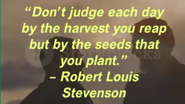 “Don’t judge each day by the harvest you reap but by the seeds that you plant.”