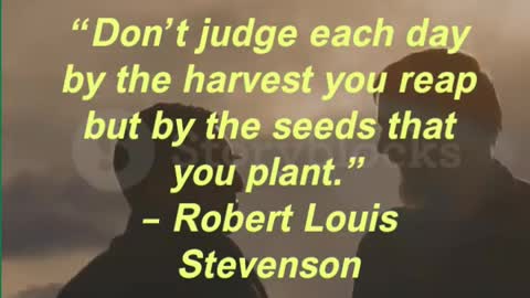 “Don’t judge each day by the harvest you reap but by the seeds that you plant.”