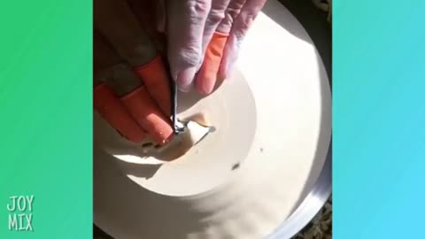 Oddly Satisfying Videos Clips That Will Help You Chill Out Instantly!