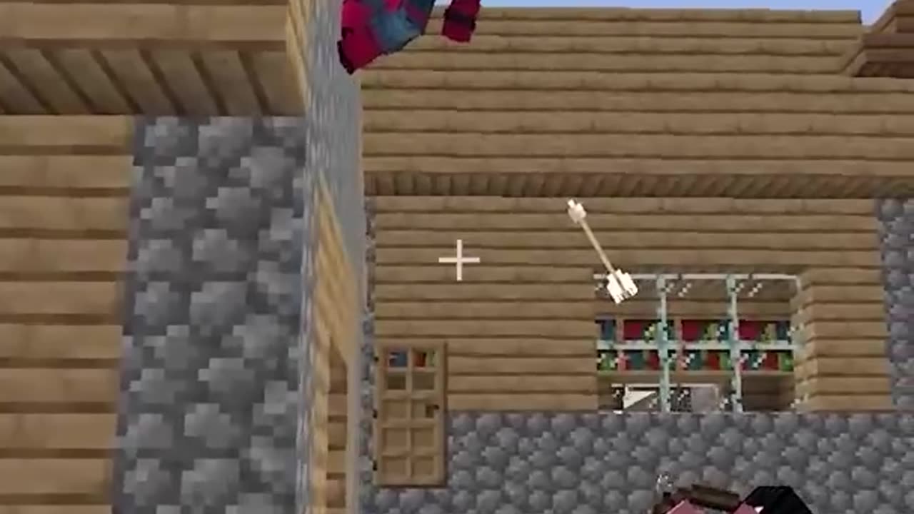 Mincraft comedy