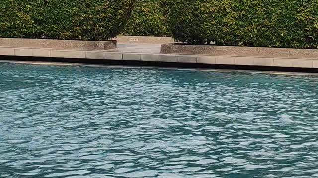 When the water goes...