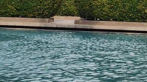 When the water goes...