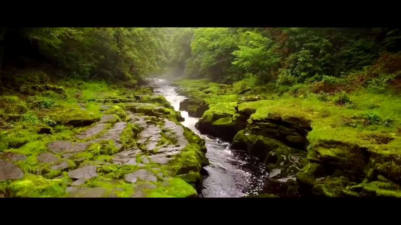 This is the most dangerous stretch of river in the earth -- The strid in strid wood