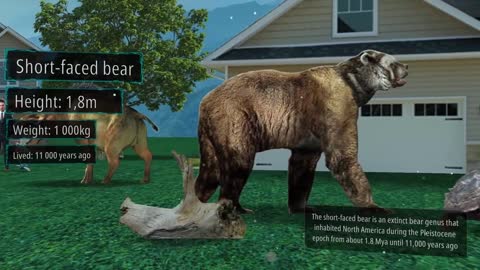 Extinct Animals SIZE Comparison
