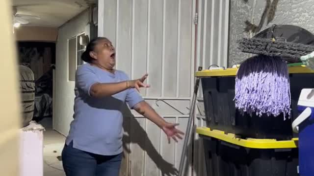 Scaring Mexican mom with GIANT Spider