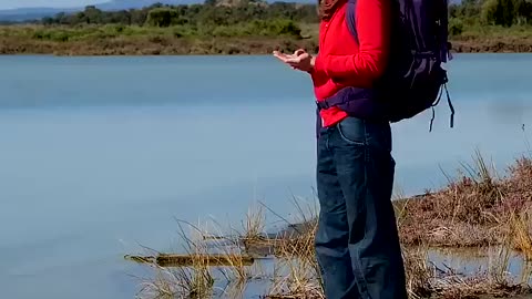 HOW TO SURVIVE IN THE WILD 🌱💧 #Shorts