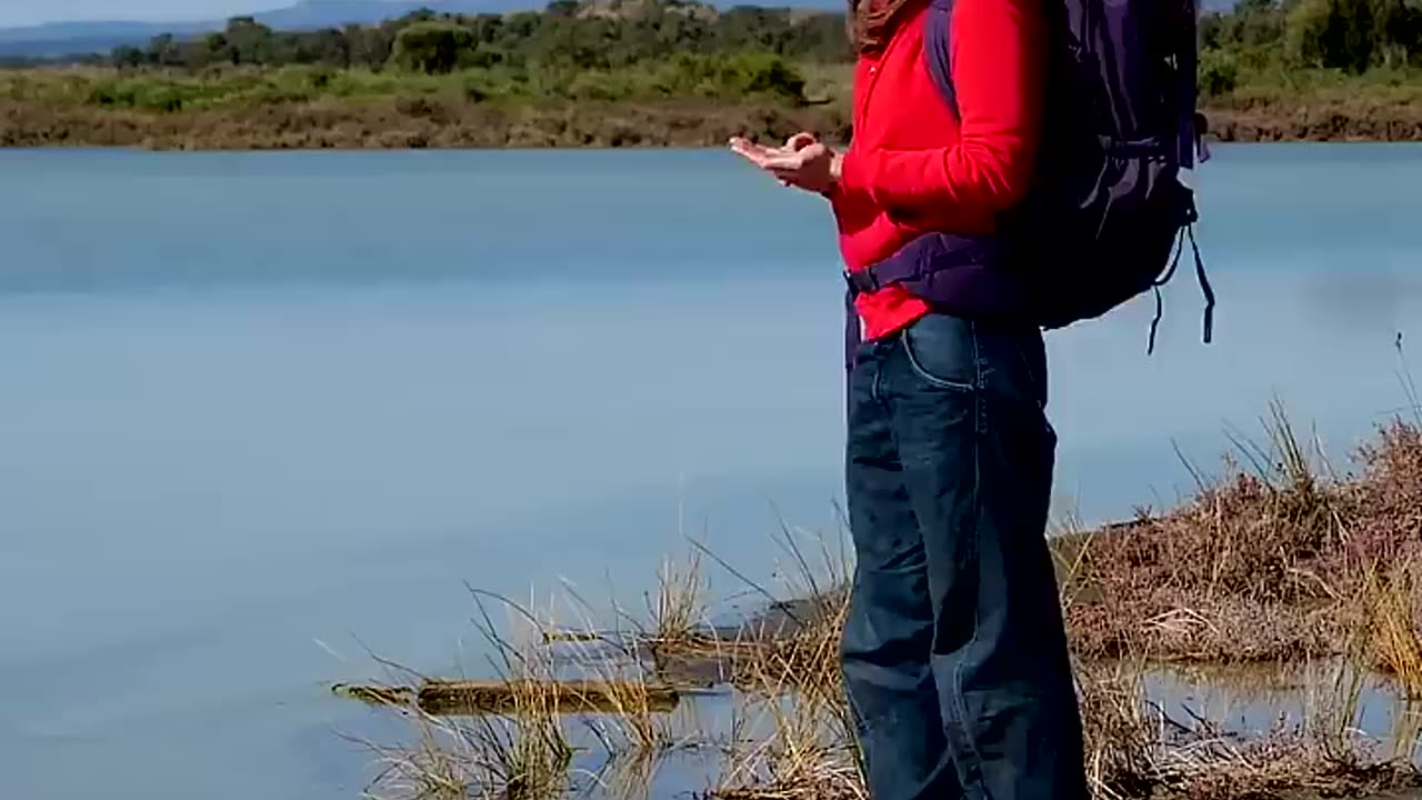 HOW TO SURVIVE IN THE WILD 🌱💧 #Shorts