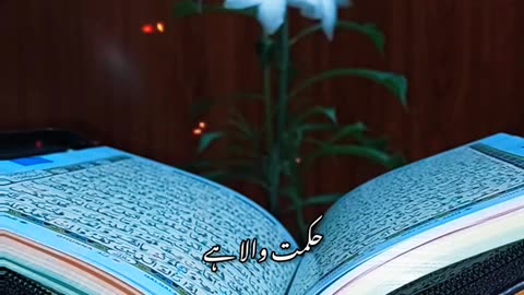 قران اردو ٹرانسلیٹ | quran urdu translate