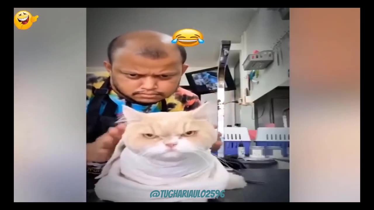 Instant Regret ｜ Funny Moments ｜ Fails Of Compilation 2023