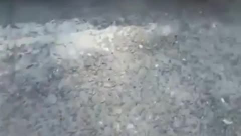 Clash Royale is everywhere.Funny meme